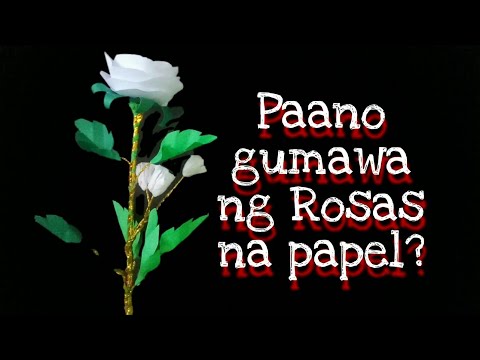 Video: Paano Gumawa Ng Pinagputulan Ng Mga Rosas