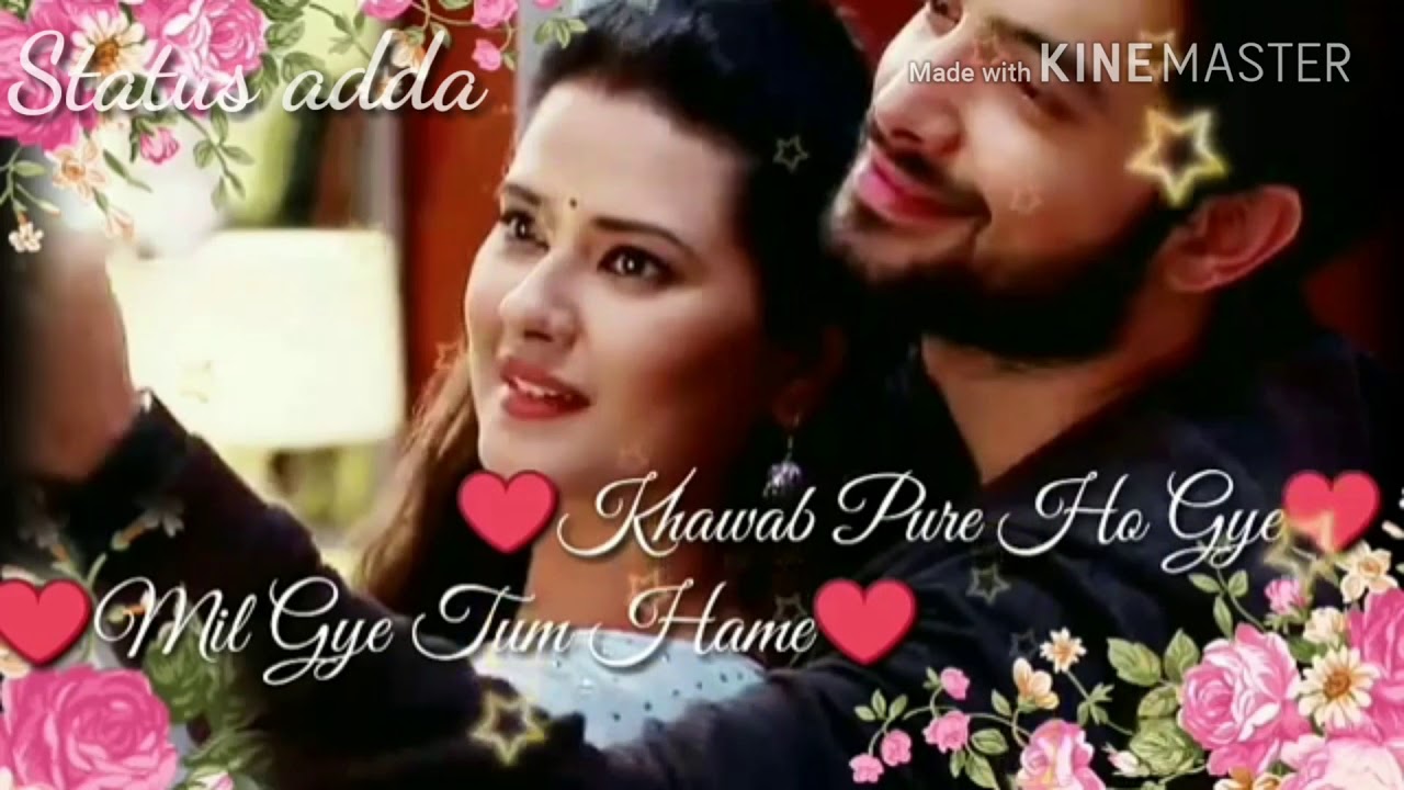 Love status for love birds YouTube