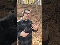 Remington Golden Saber 'Compact Handgun' 9mm VS .40 S&amp;W from 12 Yards - Taurus G2C