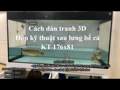 Hướng dẫn dán tranh 3D hộp kỹ thuật sau lưng bể cá ~ tranhbeca.com