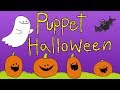 Halloween Science Activities &amp; Spooky Animals - 50+ min Compilation