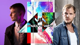 Phuture Noize vs Avicii & Bonn - Freak of the Black Mirror Society (DJ Kurosaki Mashup)