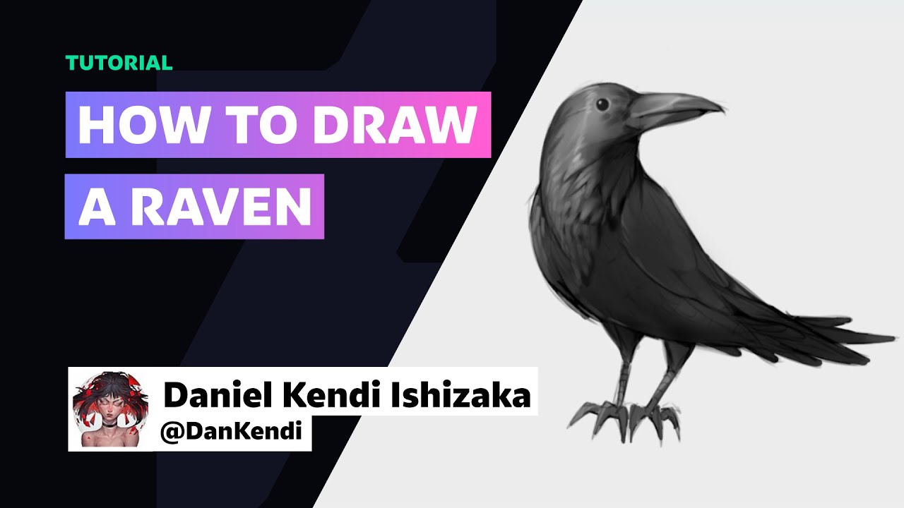 How to draw a Raven w/ DanKendi | DeviantArt Tutorials