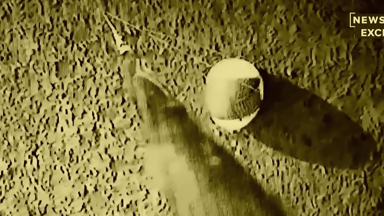 100% DeBunked!! The Egg Craft UAP Recovery Is a. COMPLETE HOAX! It's Just an EGG On a Nasty Carpet!