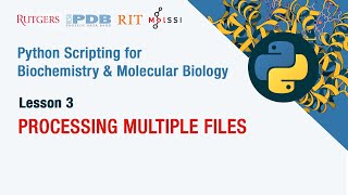 Celebrity Processing Multiple Files Wealth