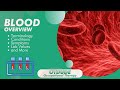 Blood Overview for Occupational Therapy: Terminology, Labs, Symptoms, and More – CBC, WBC, RBC...