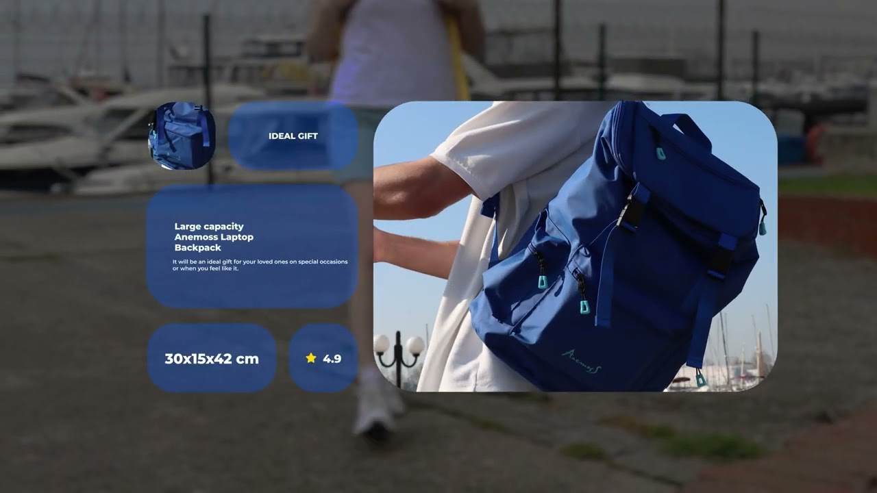 Anemoss Laptop Backpack