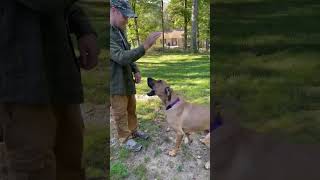 IMG 5065