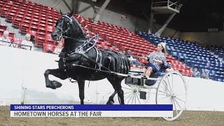 Altoonabased draft horse team to take on Iowa State Fair competition