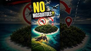 This Tiny Island Got Rid of Its Mosquitoes?! 😳