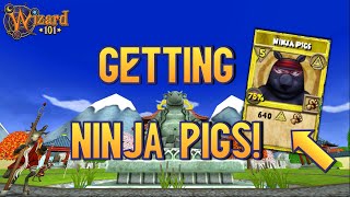 INSANE NINJA PIGS DROP! | Solo Myth Walkthrough