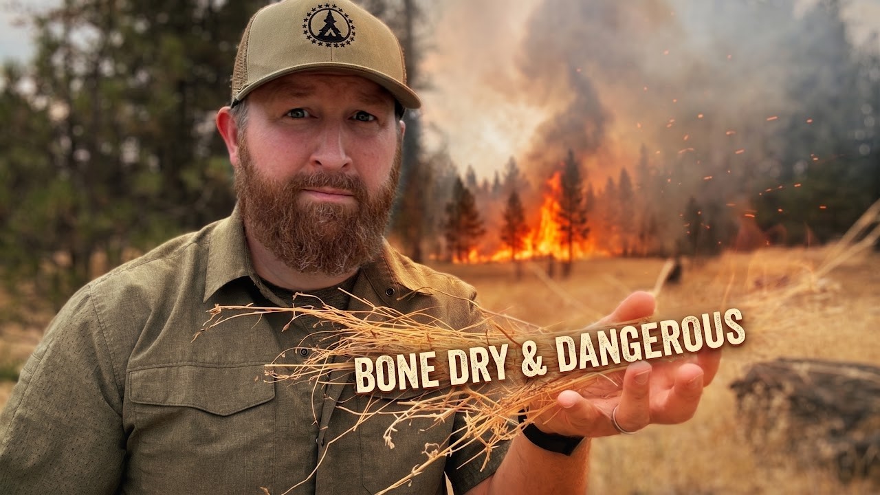 Wildfires Near Home | Update
