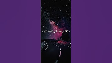 {الَّذِينَ صَبَرُوا وَعَلَىٰ رَبِّهِمْ يَتَوَكَّلُونَ (٥٩)}[سورة العنكبوت]القارئ عبدالرحمن مسعد🤍🥺