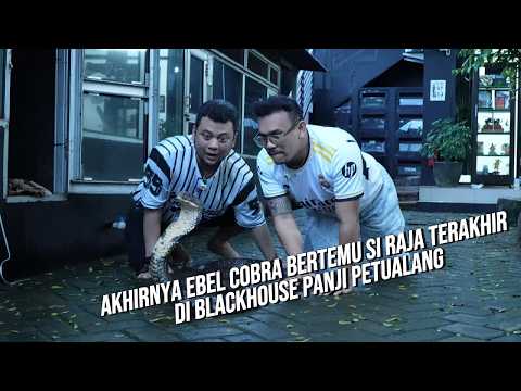 AKHIRNYA EBEL COBRA BERTEMU RAJA TERAKHIR GARAGA! DI BLACKHOUSE PANJI PETUALANG