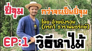 ปี่จุม:กว่าจะเป็นปี่จุม EP:1 วิธีหาไม้ โดย อ้ายบังรอน (กรกวี ธาราพันธรักษ์)