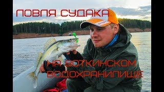 Ловля судака на Воткинском водохранилище