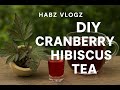 “From Leaves to Love: DIY Cranberry Hibiscus Tea”
