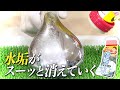 【錫村 聡】ハウスクリーニングのプロが薦める！風呂場の汚れに「水垢のり」実演動画