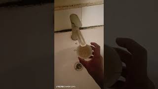 Download Lagu August 10, 2025 MP3