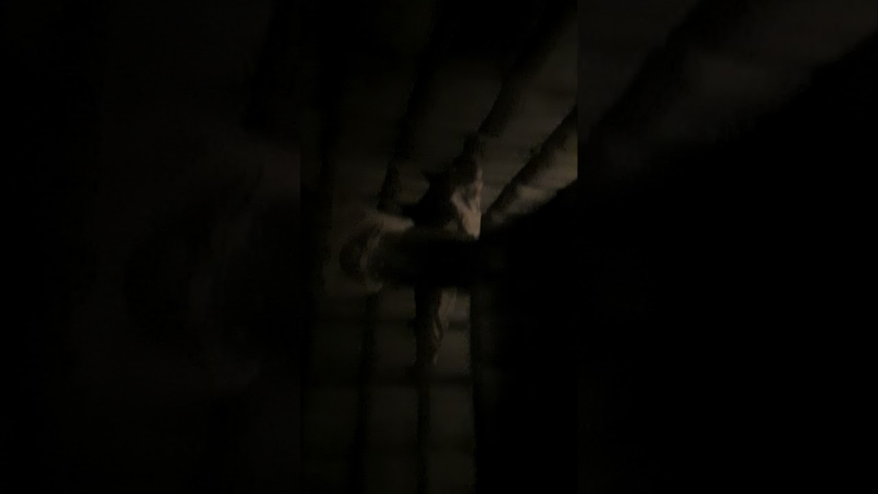 Spooky World presents Nightmare New England! 