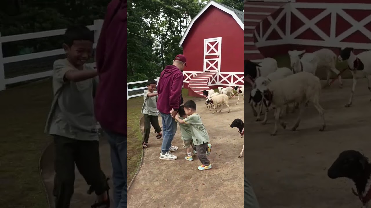 jalan di cimory dayland gowa