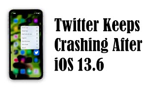 Twitter Keeps Crashing On iPhone 11 After iOS 13.6 Update screenshot 2