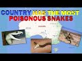 Country with the most poisonous snakes  shorts wildlife adventure australia