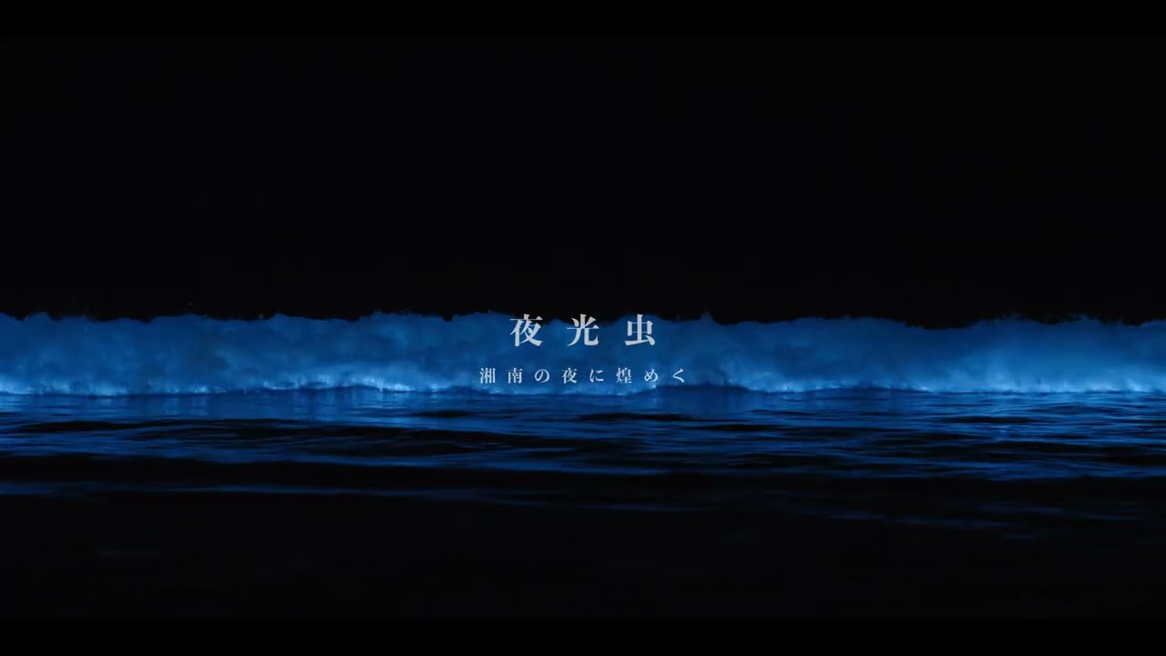 夜光虫 絶景】湘南の海に煌めく夜光虫｜Nikon ZR - YouTube
