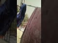 😨😨🌧️🌧️🌧️