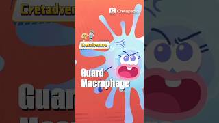 Guard Of Our Body--Macrophage Immune System