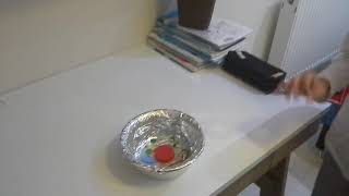 6. Sınıf Hayvan Hucresi Modeli Yapımı