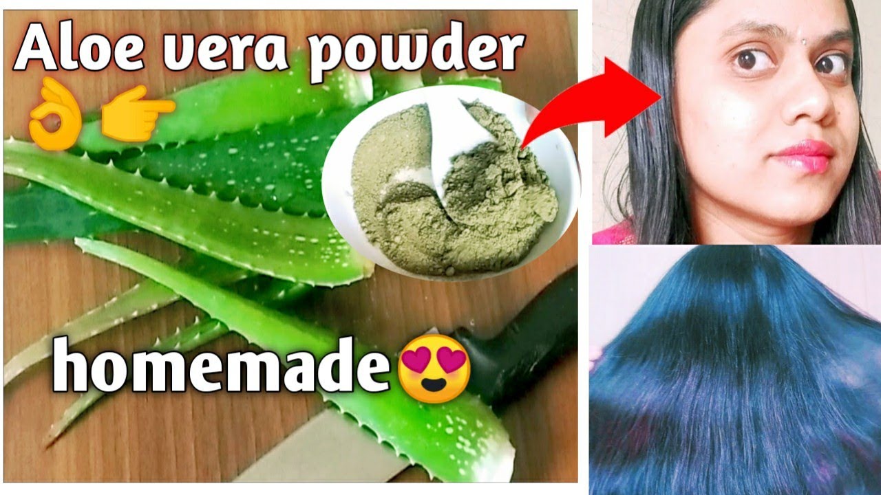 How to Make Aloe Vera Powder for Hair SkinAloe Vera PowderDIY Leaf