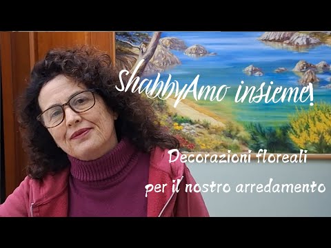 ShabbyAmo Dipingere un