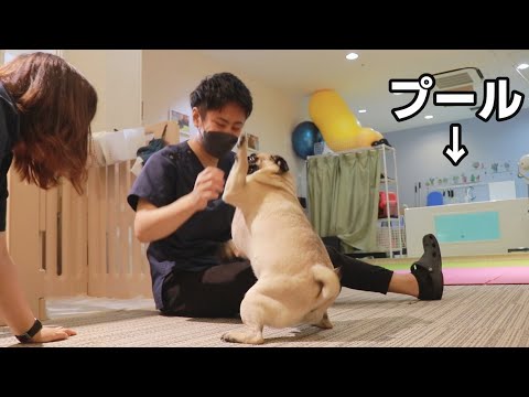 豆腐パスタのユーチューブ Youtuber665