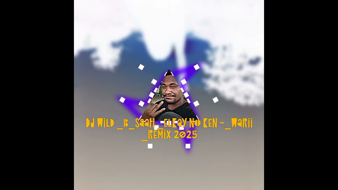 DJ Wild B SAAh remix