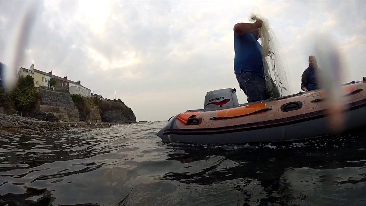 Using a cast net to catch whitebait and mackerel in New Quay Wales