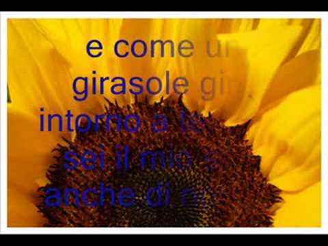 sei come un girasole che gira intorno a me