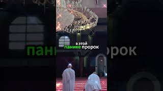 История Пророка Аль-Яса и его удивительные чудеса #ИсторииПророков #ПророкАльЯса #ЧудоАллаха