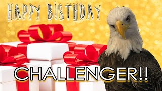 Challenger The Bald Eagle Celebrates Hatch Day 2020
