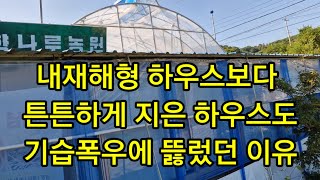 내재해형 하우스보다 더 튼튼하게 지은 하우스도 기습폭우에 뚫린 이유