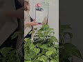 Доброе утро, добрый человек! Пусть Судьба будет к тебе сегодня благосклонна!