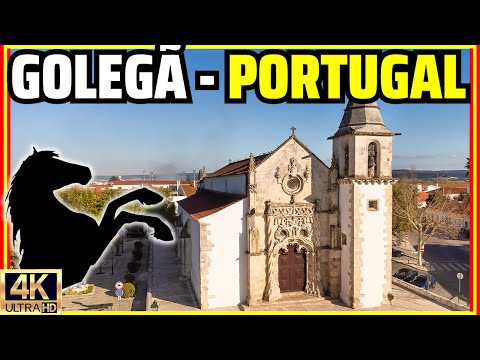 Video: Ry in Portugal