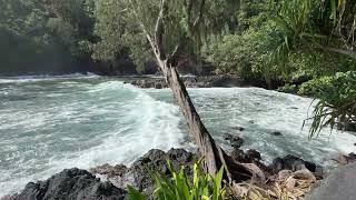 Hawaii Tropical Botanical Garden 20Jan2026