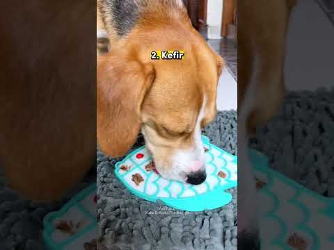 Video: Apakah Rawhide Dog Chews Buruk untuk Anjing?