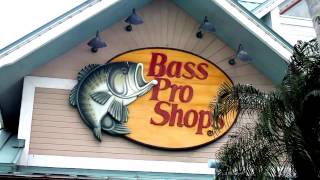 BPS Logo