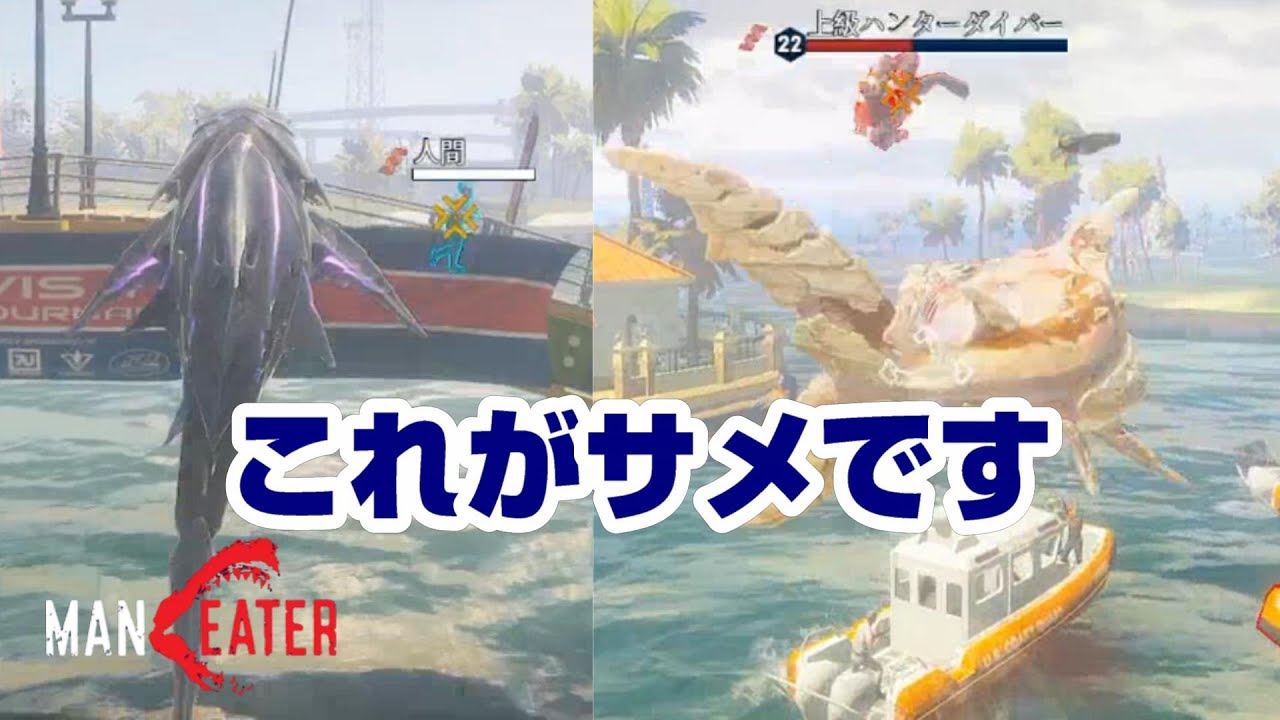 最近発見されたサメの生態について説明します。【Maneater】