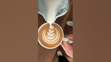 How to make latte art: Tulip & Swan