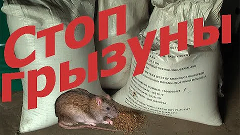 Как хранить зерно в домашних условиях