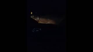 Jeffrey Goes Nuts