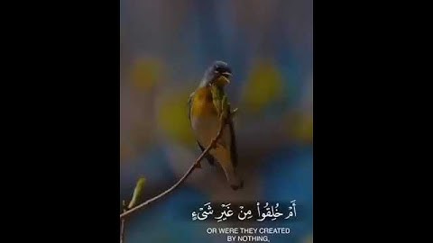 سورة الطور - الآية ٣٥-٤٦ Surah At-Tur - Verse 35-36